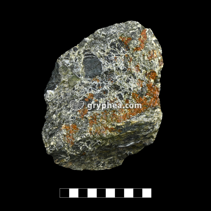 Péridotite serpentinisée - échantillon (Chenaillet) - gryphea.com